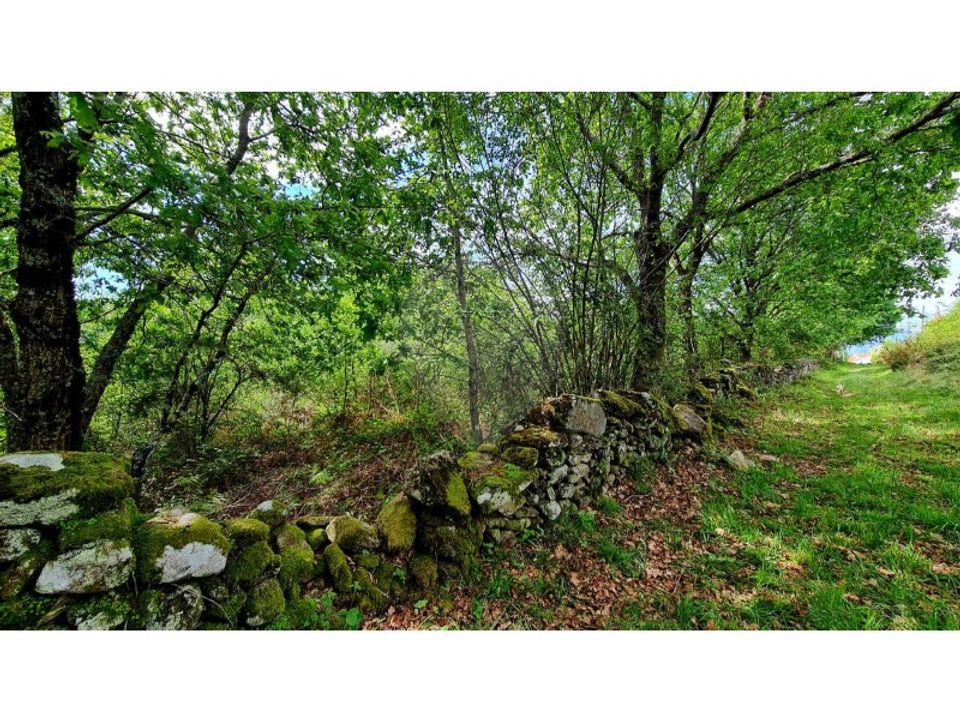 Helårsgrund i Vieira do Minho, Braga - foto 1