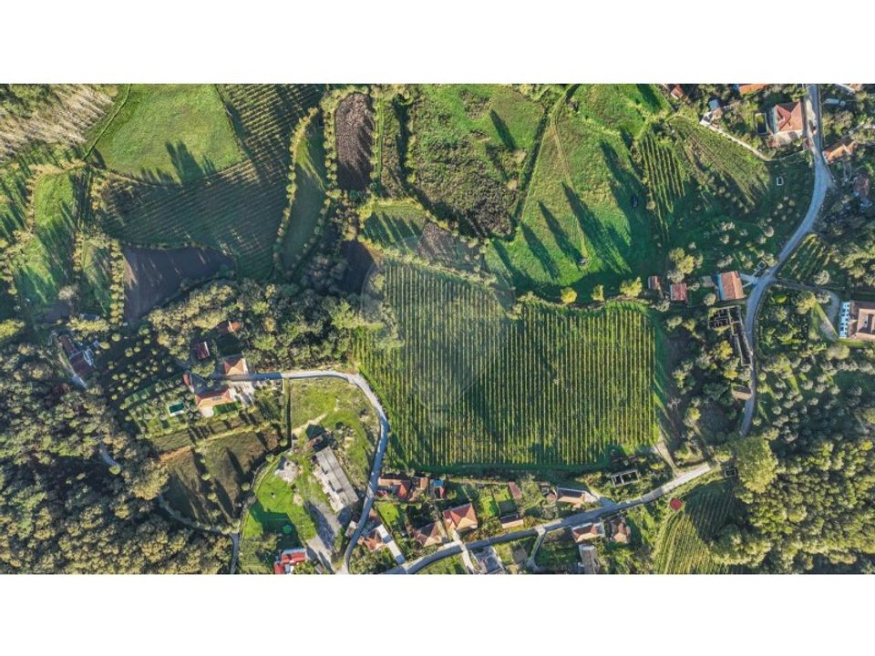 Farm i Celorico de Basto, Braga - foto 1