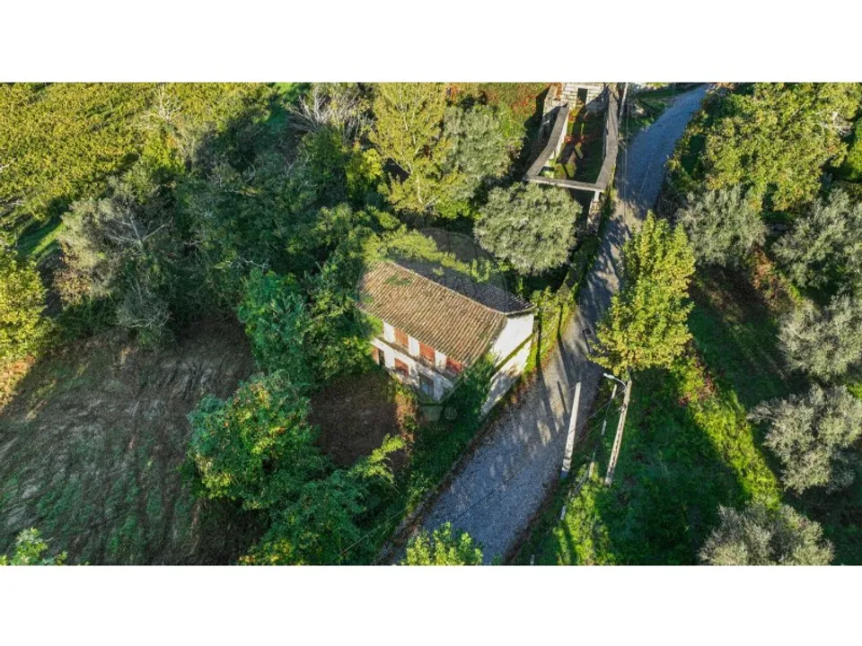 Farm i Celorico de Basto, Braga - foto 5