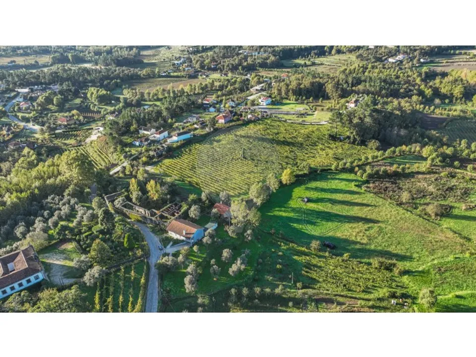 Farm i Celorico de Basto, Braga - foto 2