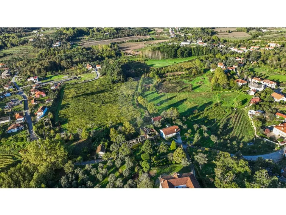 Farm i Celorico de Basto, Braga - foto 3