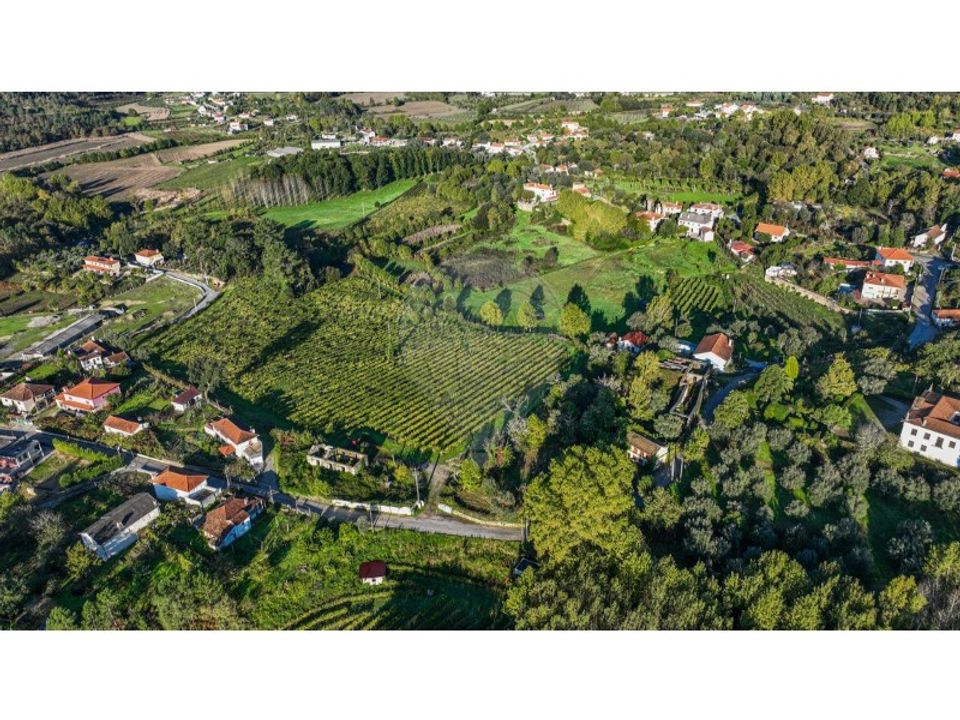 Farm i Celorico de Basto, Braga - foto 4