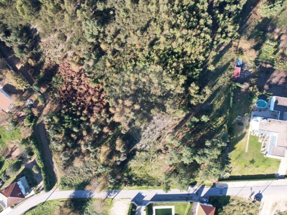 Helårsgrund i Cabeceiras de Basto, Braga - foto 3