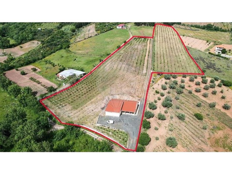 Erhvervsejendom i Castelaos e Vilar do Monte, Braganca - foto 2