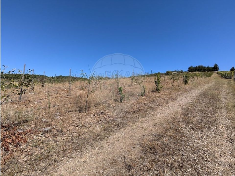 Erhvervsejendom i Castelaos e Vilar do Monte, Braganca - foto 4
