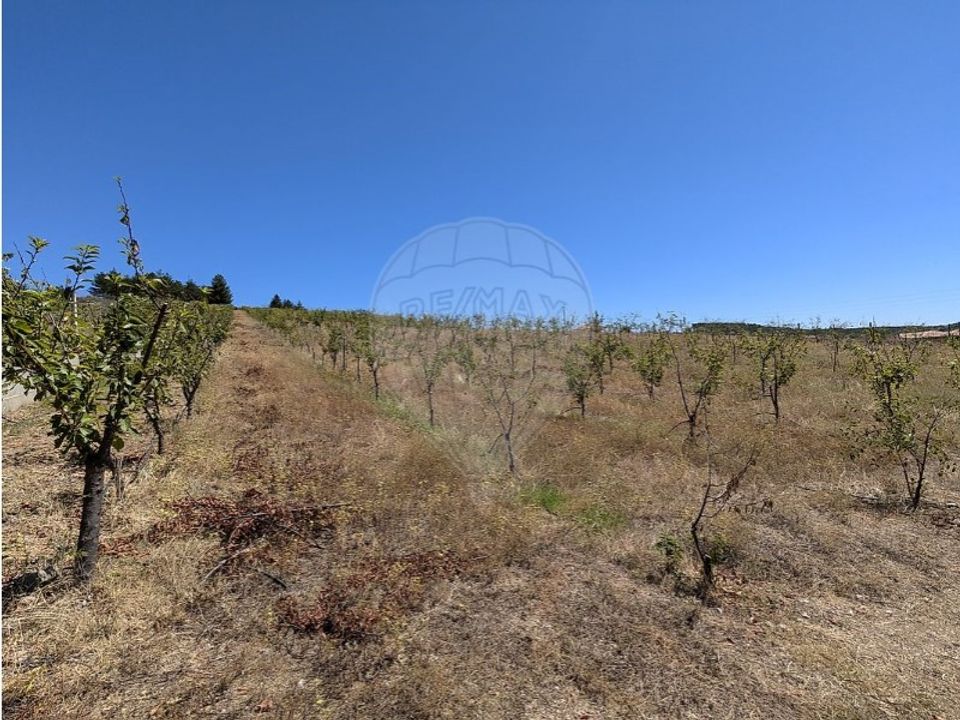 Erhvervsejendom i Castelaos e Vilar do Monte, Braganca - foto 3