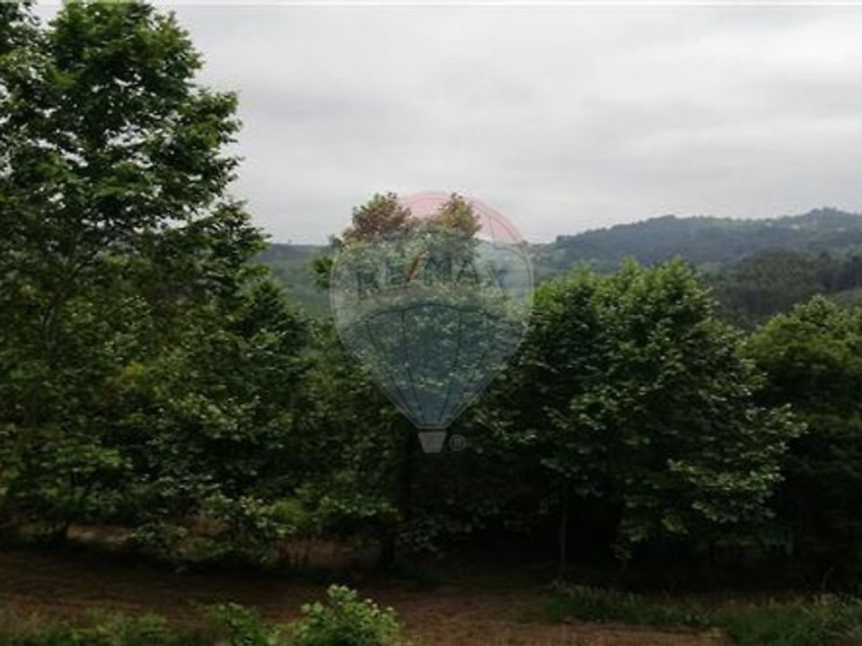 Tomt i Alvite e Passos, Braga - bilde 3