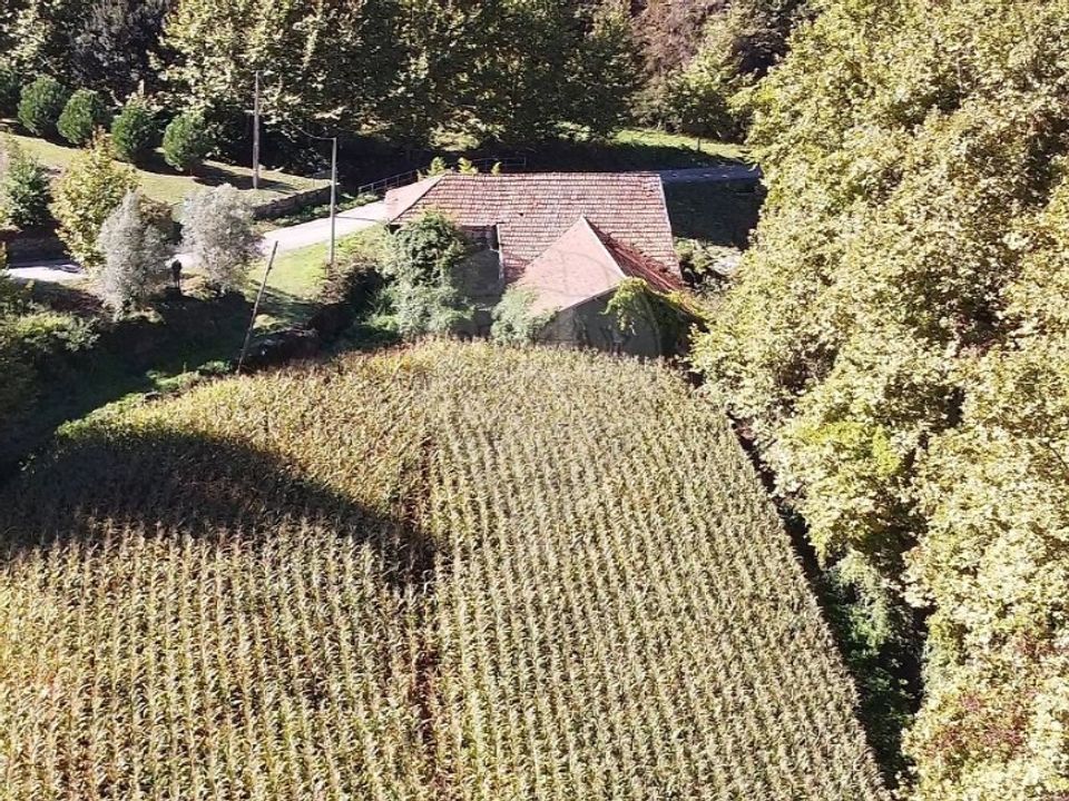 Villa i Carvalho e Basto (Santa Tecla), Braga - foto 3