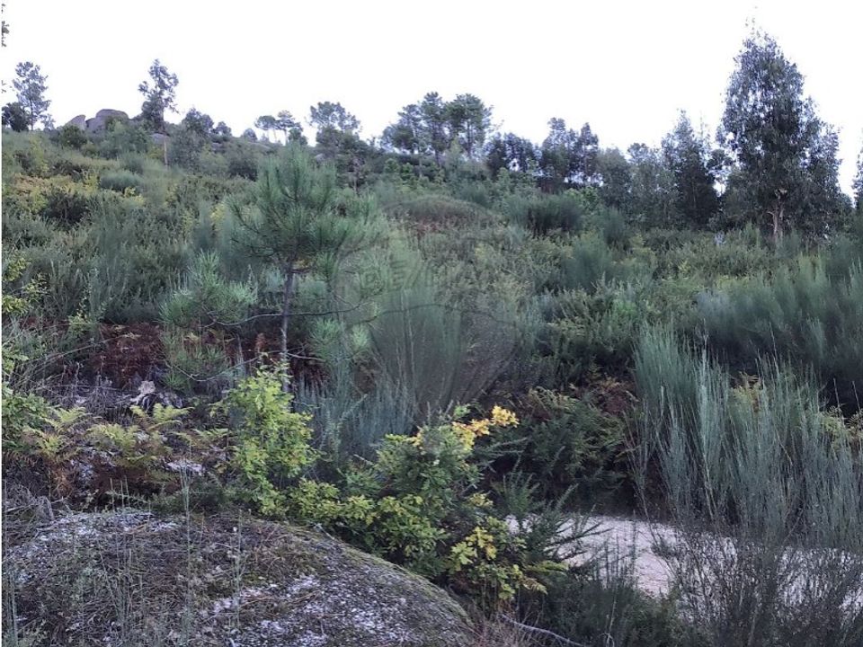 Helårsgrund i Celorico de Basto, Braga - foto 3