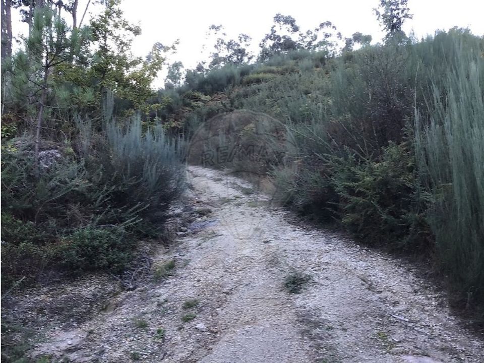 Helårsgrund i Celorico de Basto, Braga - foto 2