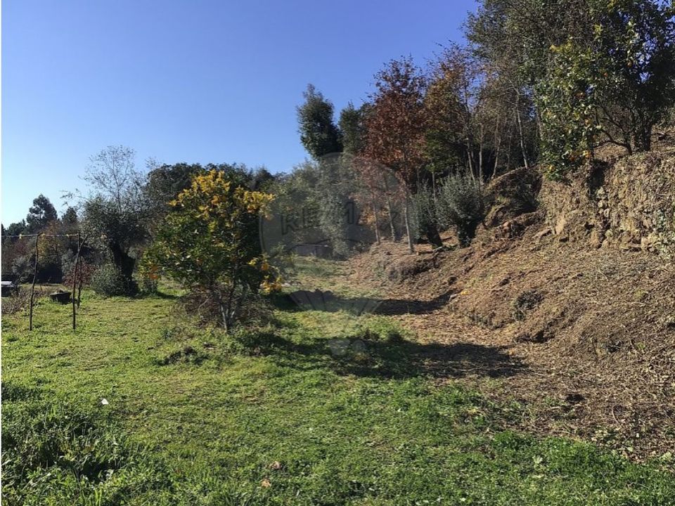Terrain - Mondim de Basto, Vila Real - photo 2
