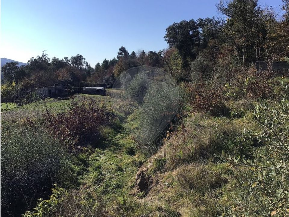 Terrain - Mondim de Basto, Vila Real - photo 4