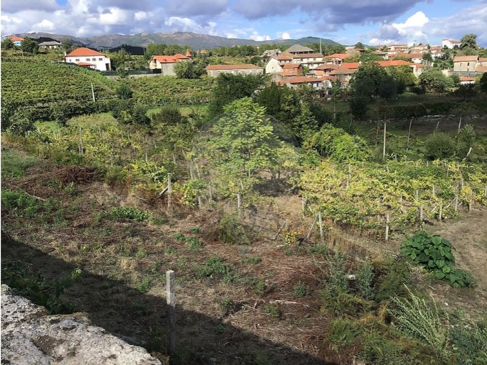 Helårsgrund i Cavez, Braga - foto 3