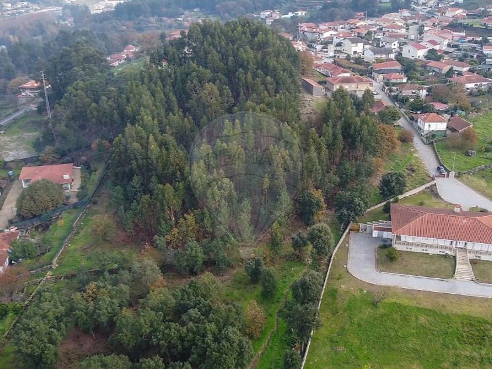 Helårsgrund i Santo Tirso, Porto - foto 5