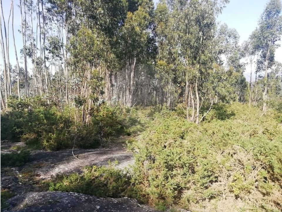 Helårsgrund i Guimaraes, Braga - foto 1