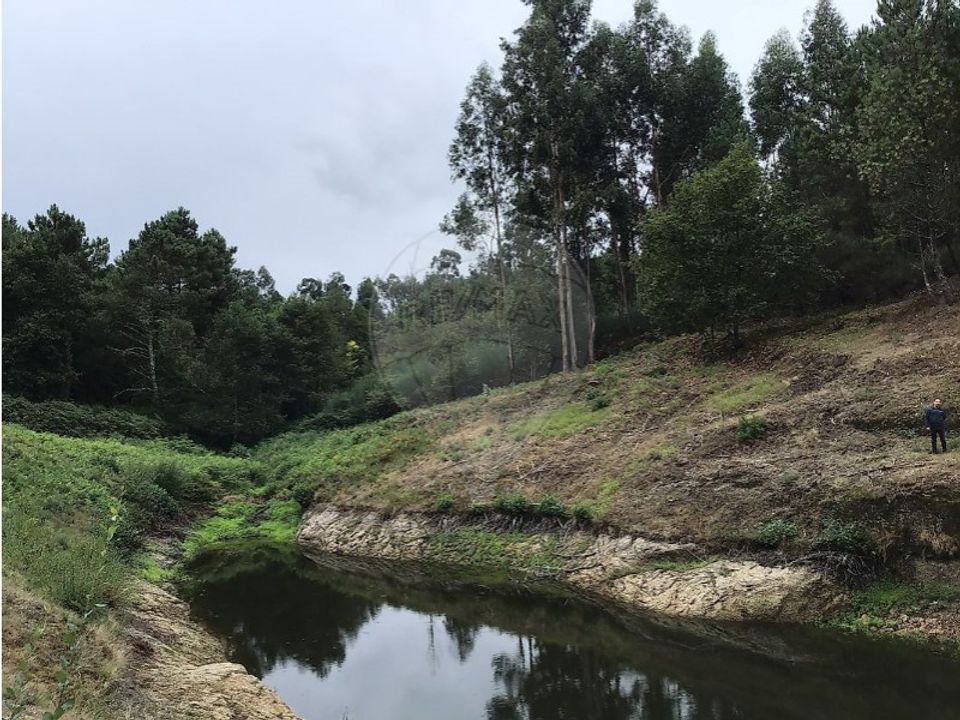 Helårsgrund i Celorico de Basto, Braga - foto 1