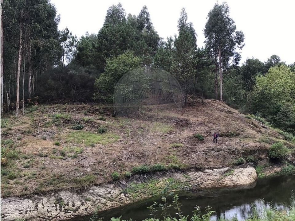 Helårsgrund i Celorico de Basto, Braga - foto 5