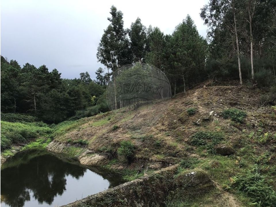 Helårsgrund i Celorico de Basto, Braga - foto 5
