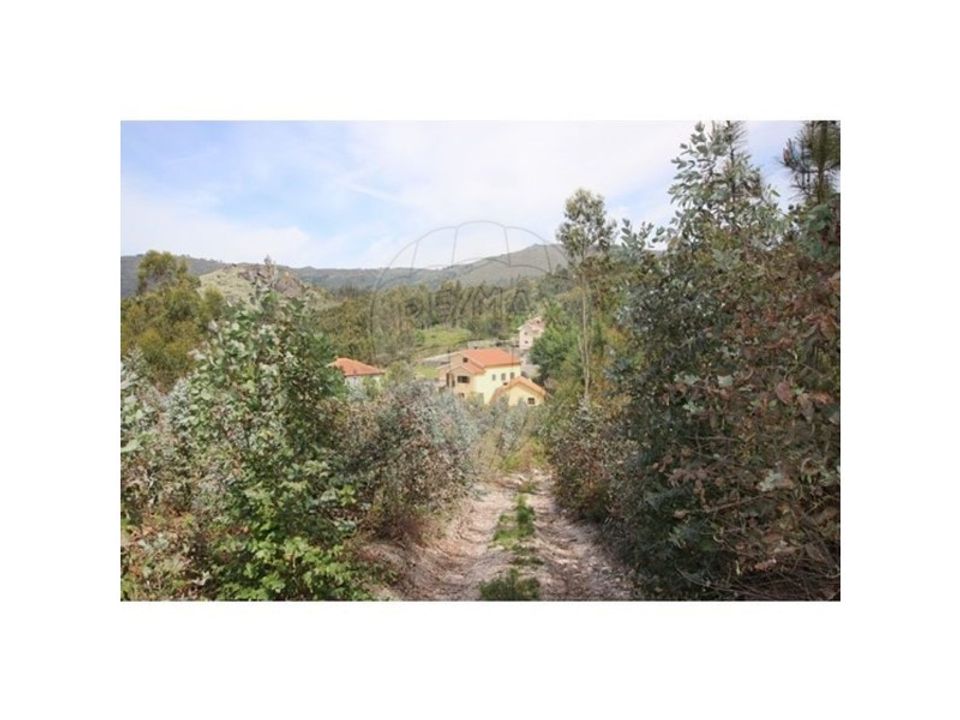 Helårsgrund i Oliveira de Frades, Viseu - foto 3