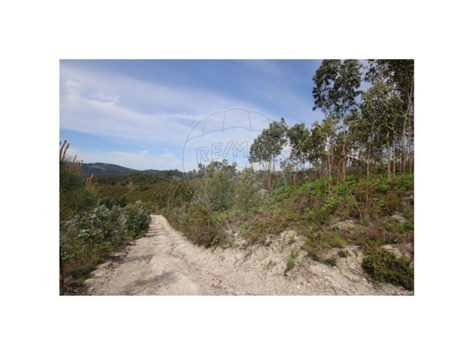 Helårsgrund i Oliveira de Frades, Viseu - foto 2