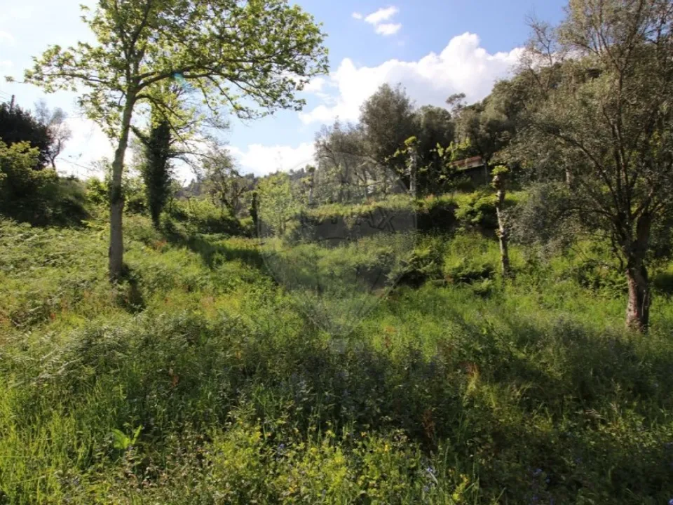 Helårsgrund i Cabeceiras de Basto, Braga - foto 3