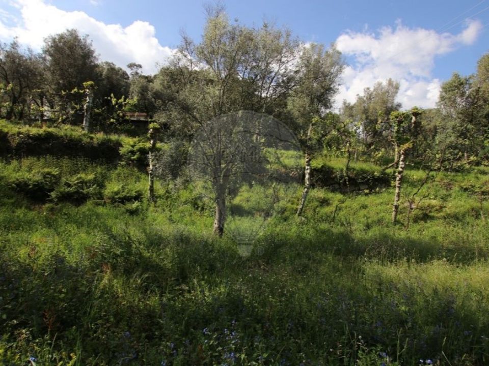 Helårsgrund i Cabeceiras de Basto, Braga - foto 4