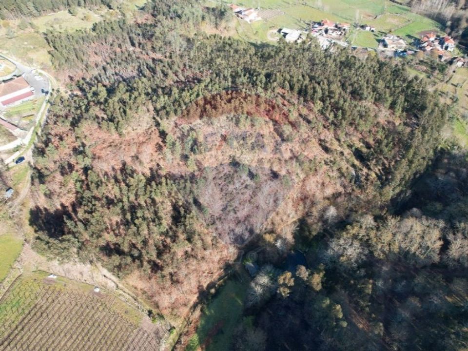 Terra em Fafe, Braga - foto 1