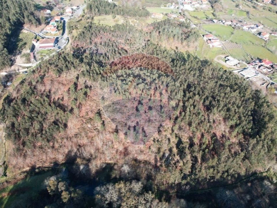 Terra em Fafe, Braga - foto 2