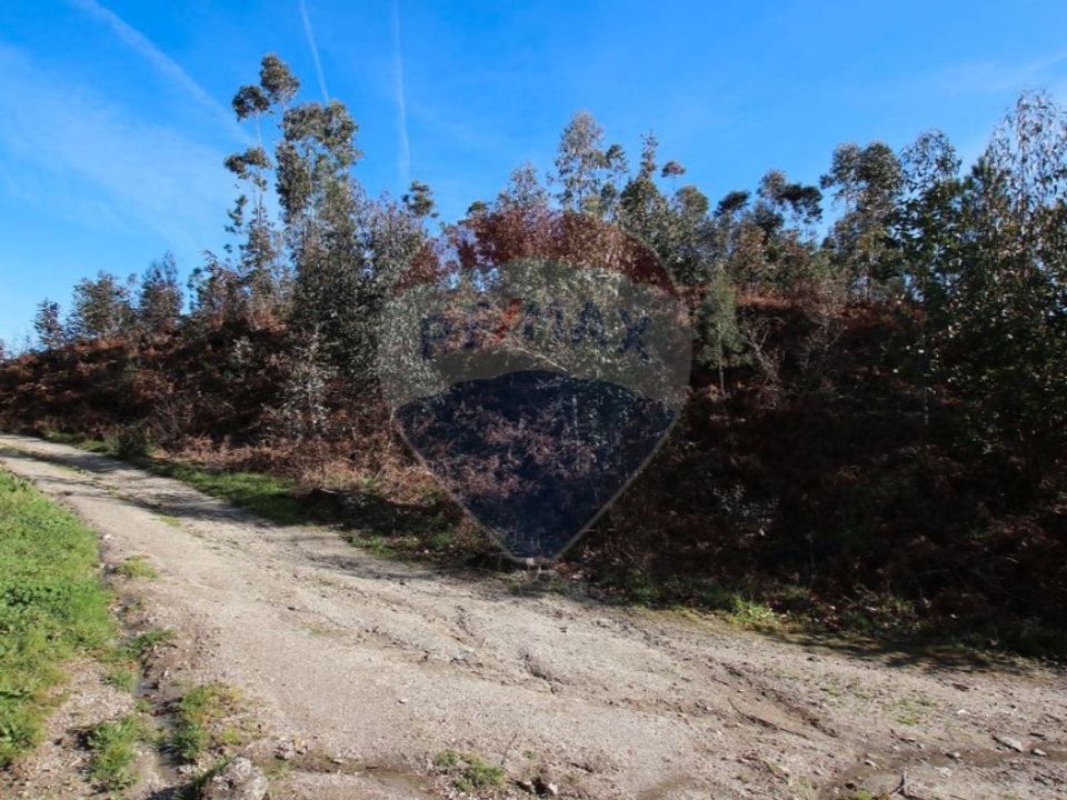 Helårsgrund i Fafe, Braga - foto 2