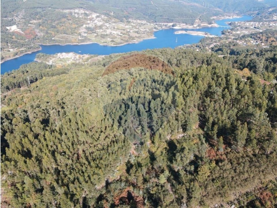 Tomt i Ribeira de Pena, Vila Real - bilde 1