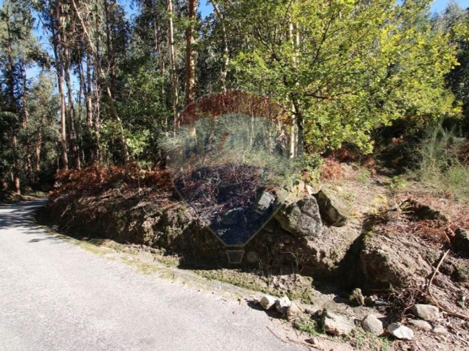Tomt i Ribeira de Pena, Vila Real - bilde 5