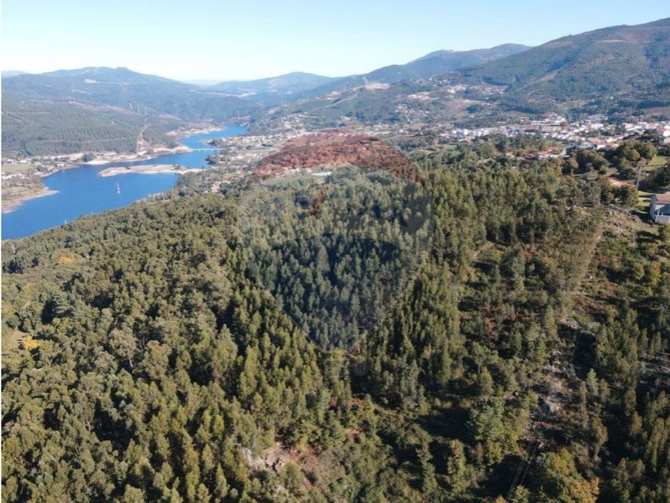 Tomt i Ribeira de Pena, Vila Real - bilde 3