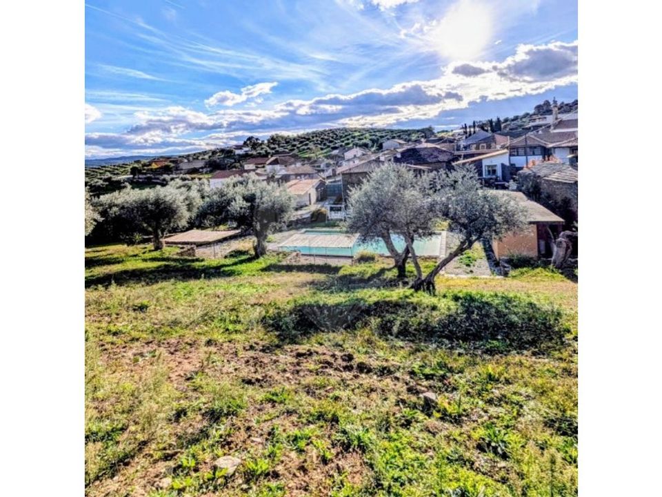 Farm i Mirandela, Braganca - foto 2