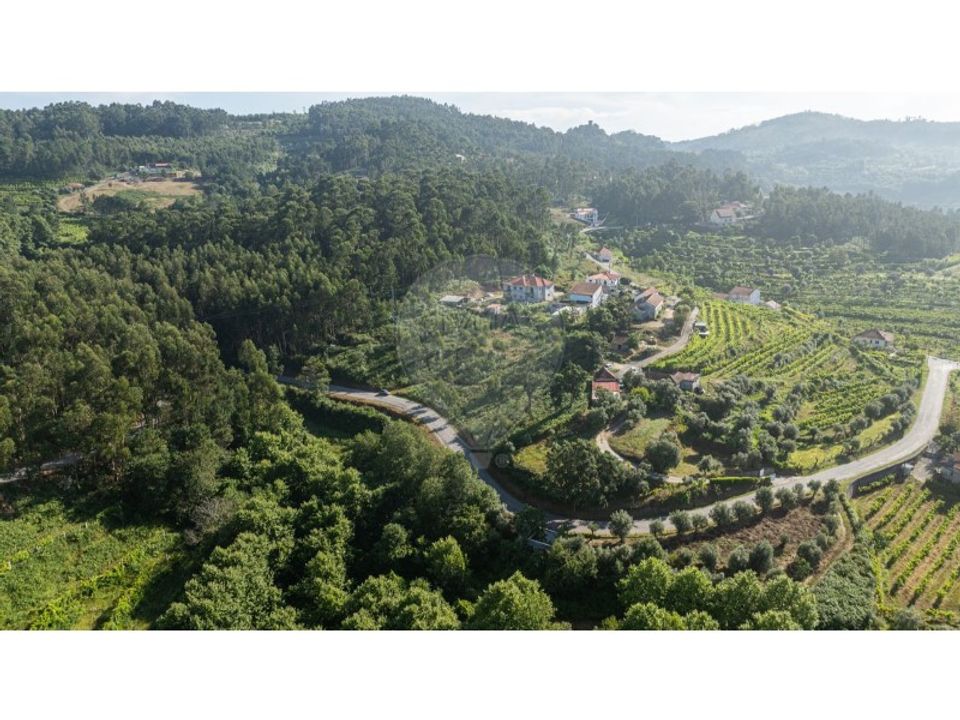 Helårsgrund i Celorico de Basto, Braga - foto 4