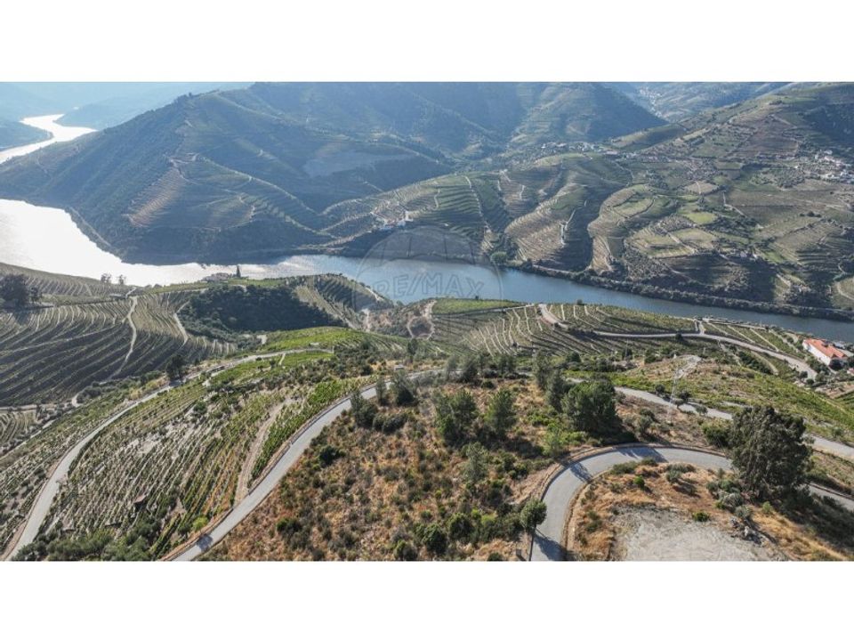 Terra a Valenca do douro, Viseu - foto 4