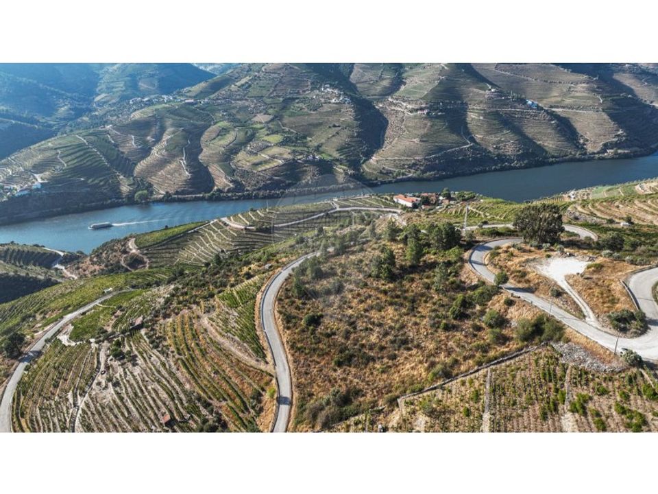 Helårsgrund i Valenca do douro, Viseu - foto 5