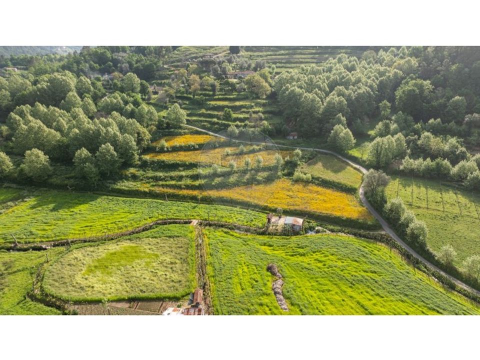 Farm i Carvalho e Basto (Santa Tecla), Braga - foto 5