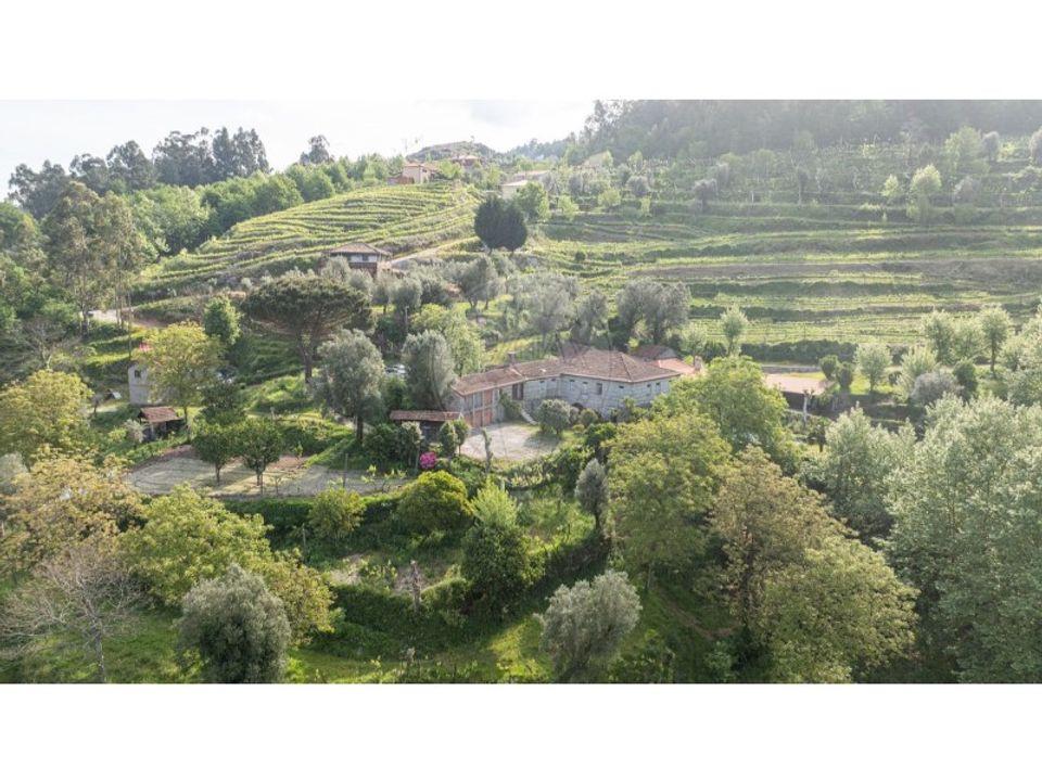 Farm i Carvalho e Basto (Santa Tecla), Braga - foto 3