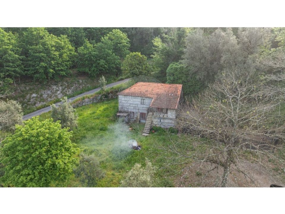 Farm i Carvalho e Basto (Santa Tecla), Braga - foto 4