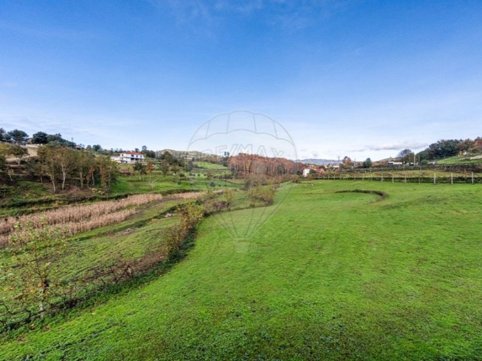 Farm i Cavez, Braga - foto 1