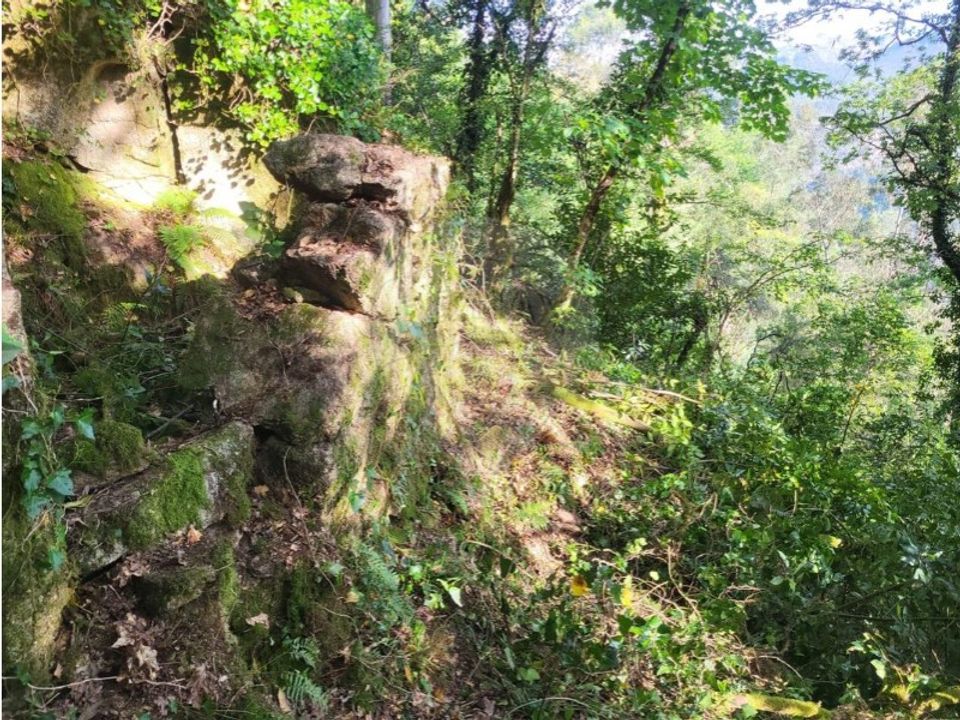 Helårsgrund i Vieira do Minho, Braga - foto 3