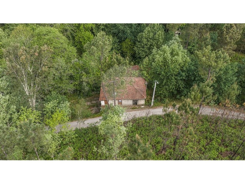Farm i Celorico de Basto, Braga - foto 2
