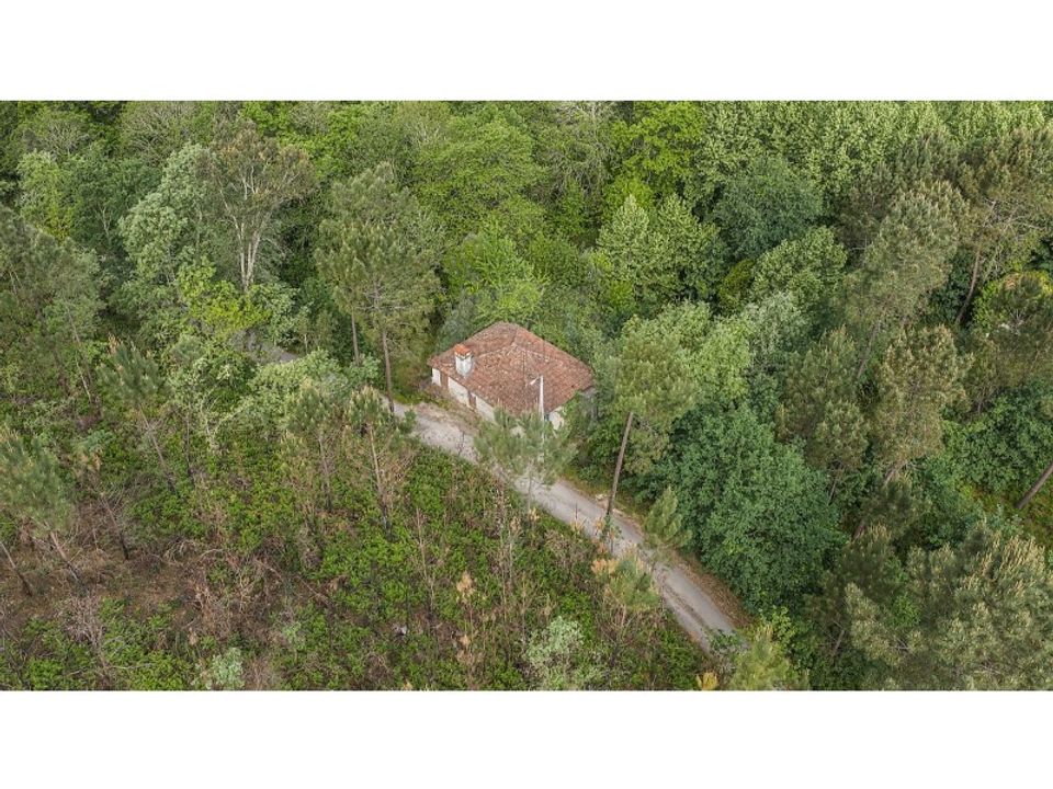 Farm i Celorico de Basto, Braga - foto 3