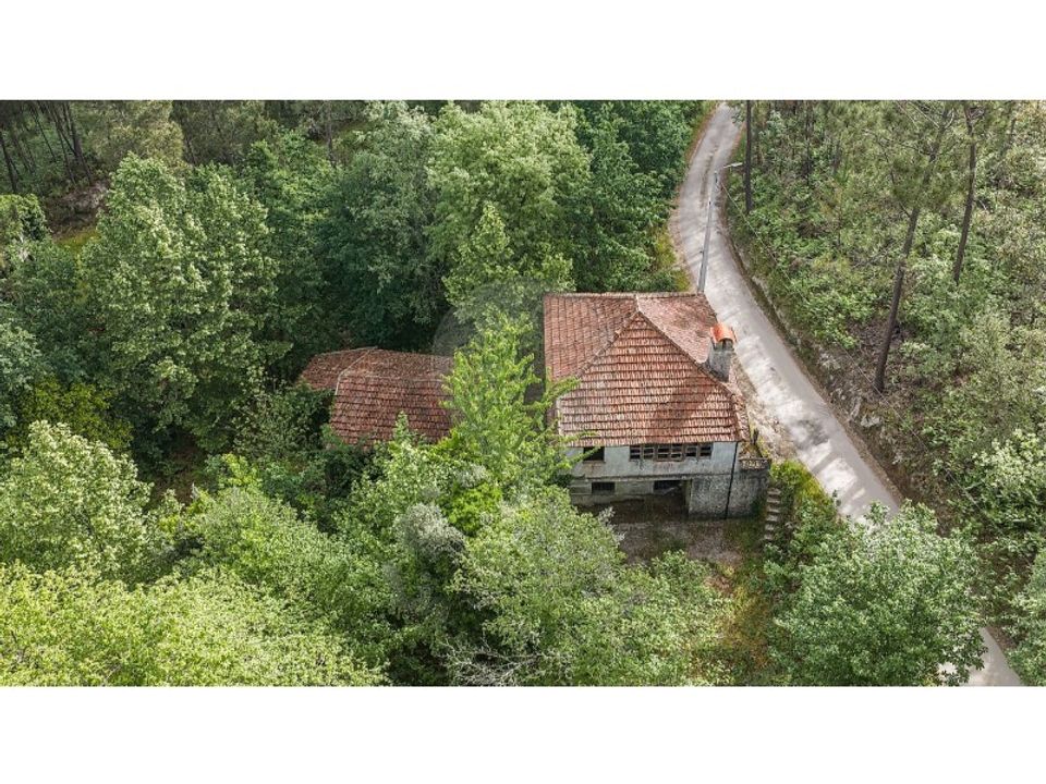 Farm i Celorico de Basto, Braga - foto 4