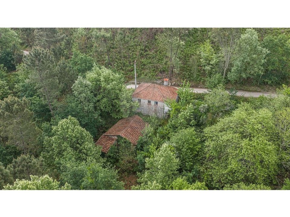 Farm i Celorico de Basto, Braga - foto 5