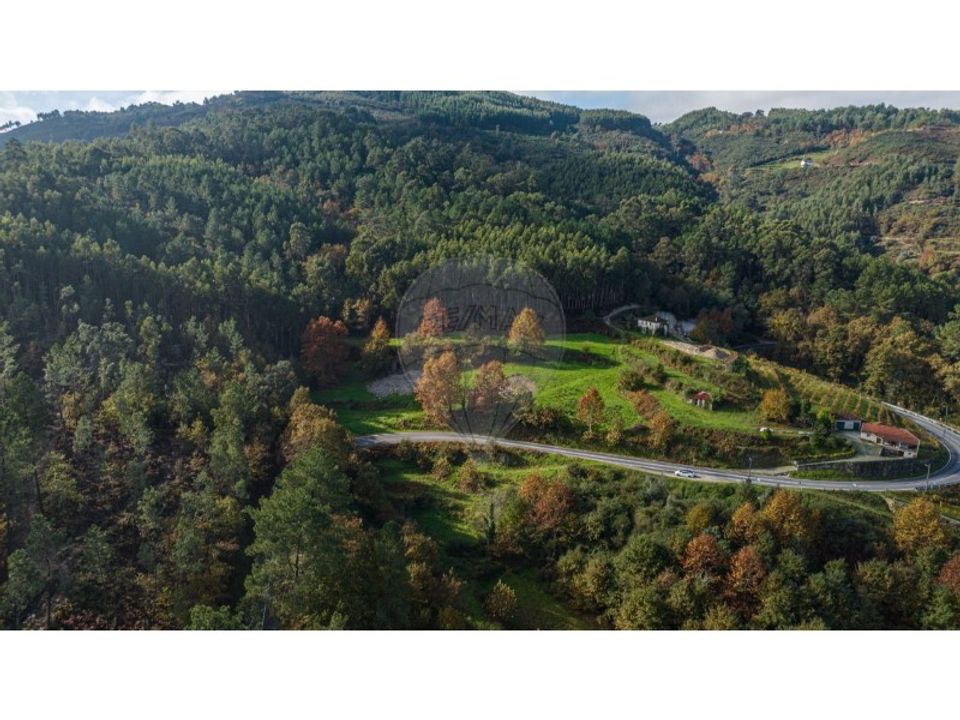 Gård i Celorico de Basto, Braga - bilde 5