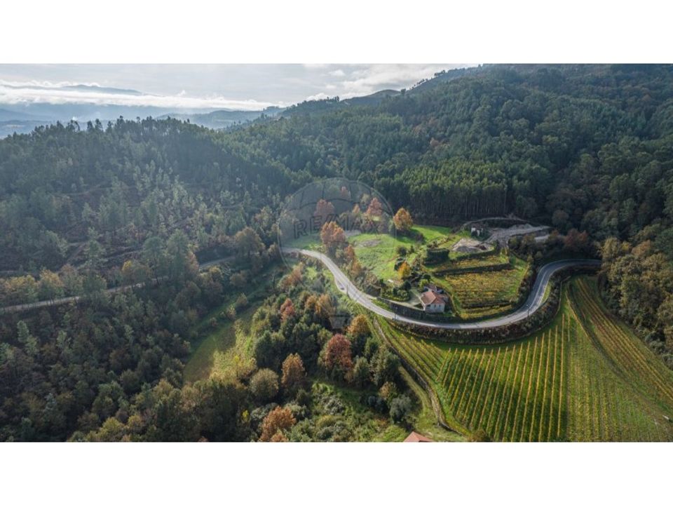 Gård i Celorico de Basto, Braga - bilde 1
