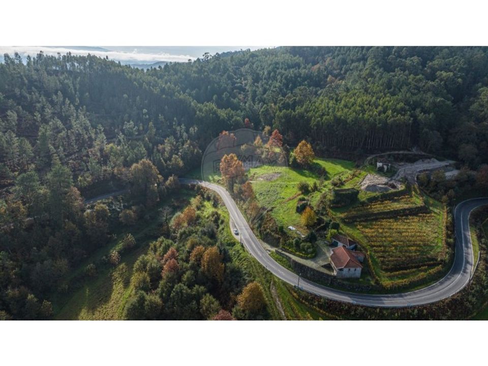 Gård i Celorico de Basto, Braga - bilde 4