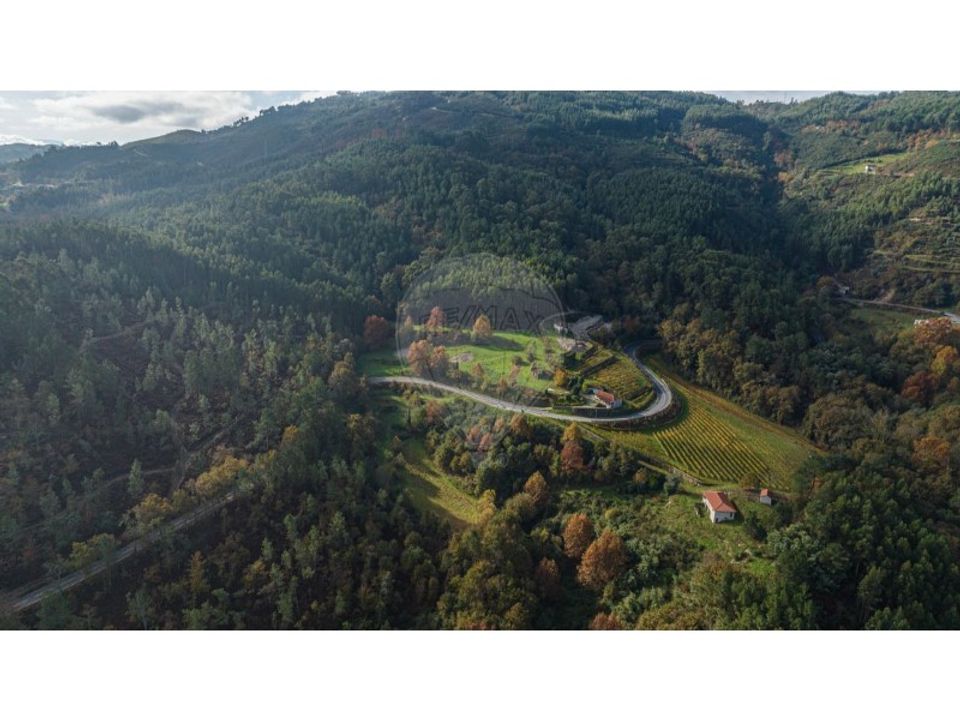 Gård i Celorico de Basto, Braga - bilde 2