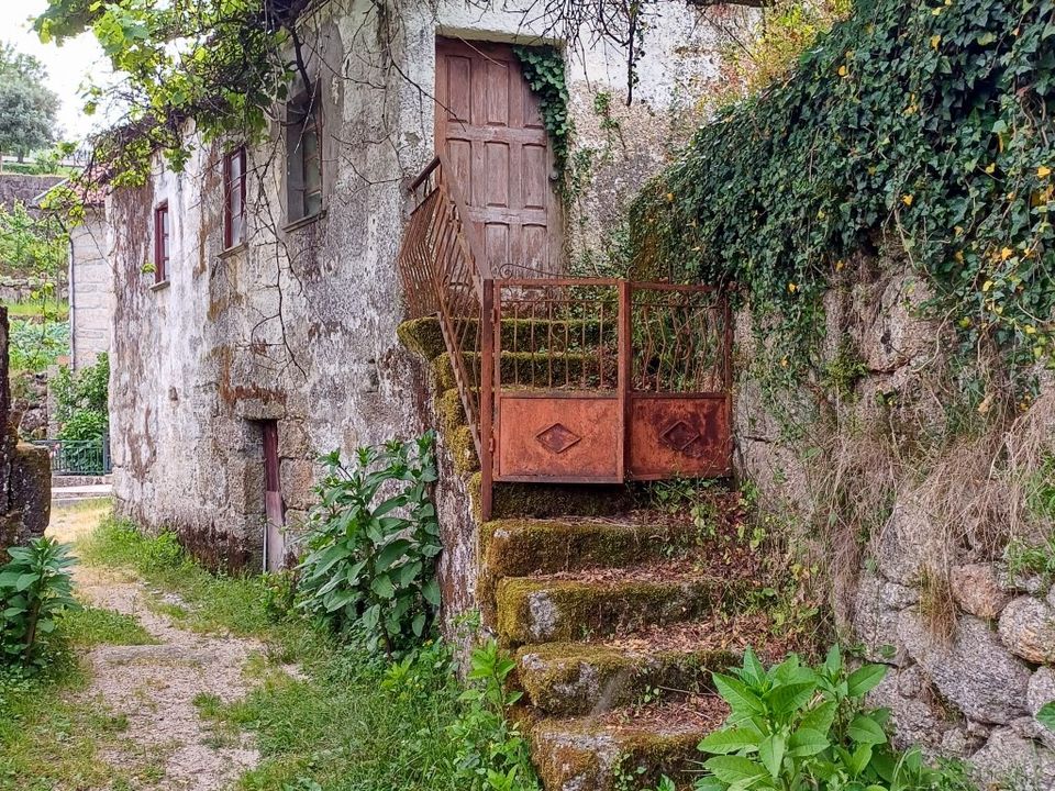 Tomt i Vieira do Minho, Braga - bilde 2